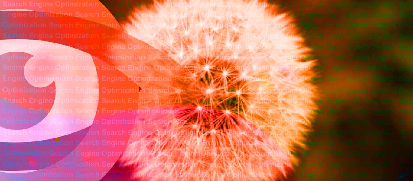 WordPress Web Design WordPress Web Design