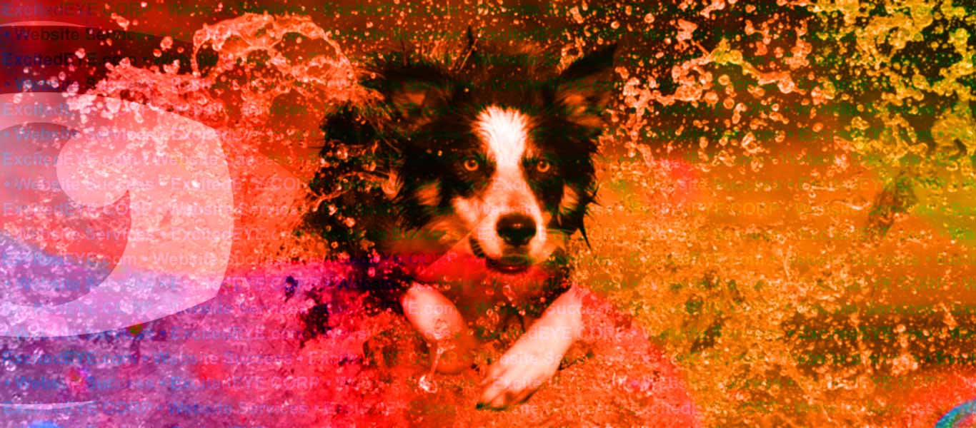 Longmont Web Services Longmont Web Services