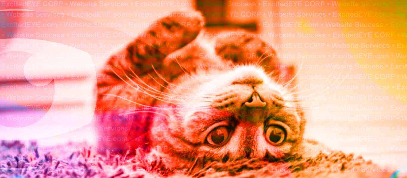 Website Support Servies Website Support Servies