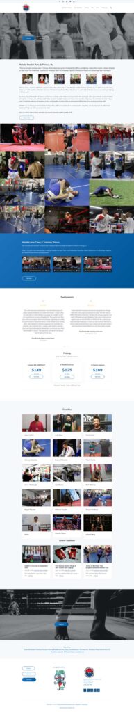 Hybrid Martial Arts Chicago Web Design