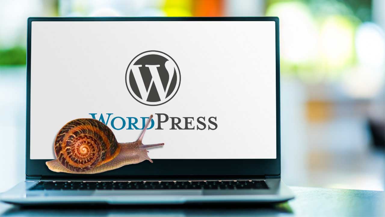 Slow WordPress Site? Common Causes and Solutions. | ExcitedEYE CORP
