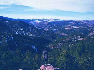 Coloradan searching through the wilderness for seo help
